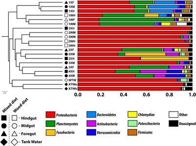 Effect of Diet on the Enteric Microbiome of the Wood-Eating Catfish Panaque nigrolineatus